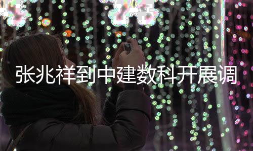 调研祥到张兆中建开展数科